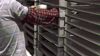 这才是品牌的力量!双管齐下,保质保量! 这才是品牌的力量!双管齐下,保质保量!